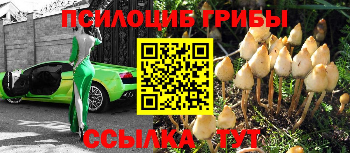 Псилоцибиновые грибы ЛСД  Вход с VPN  Пушкино 